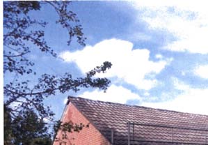Wohn-/Gewerbeimmobilie in Oberdorf 16, 25850 Bondelum - Bild 5