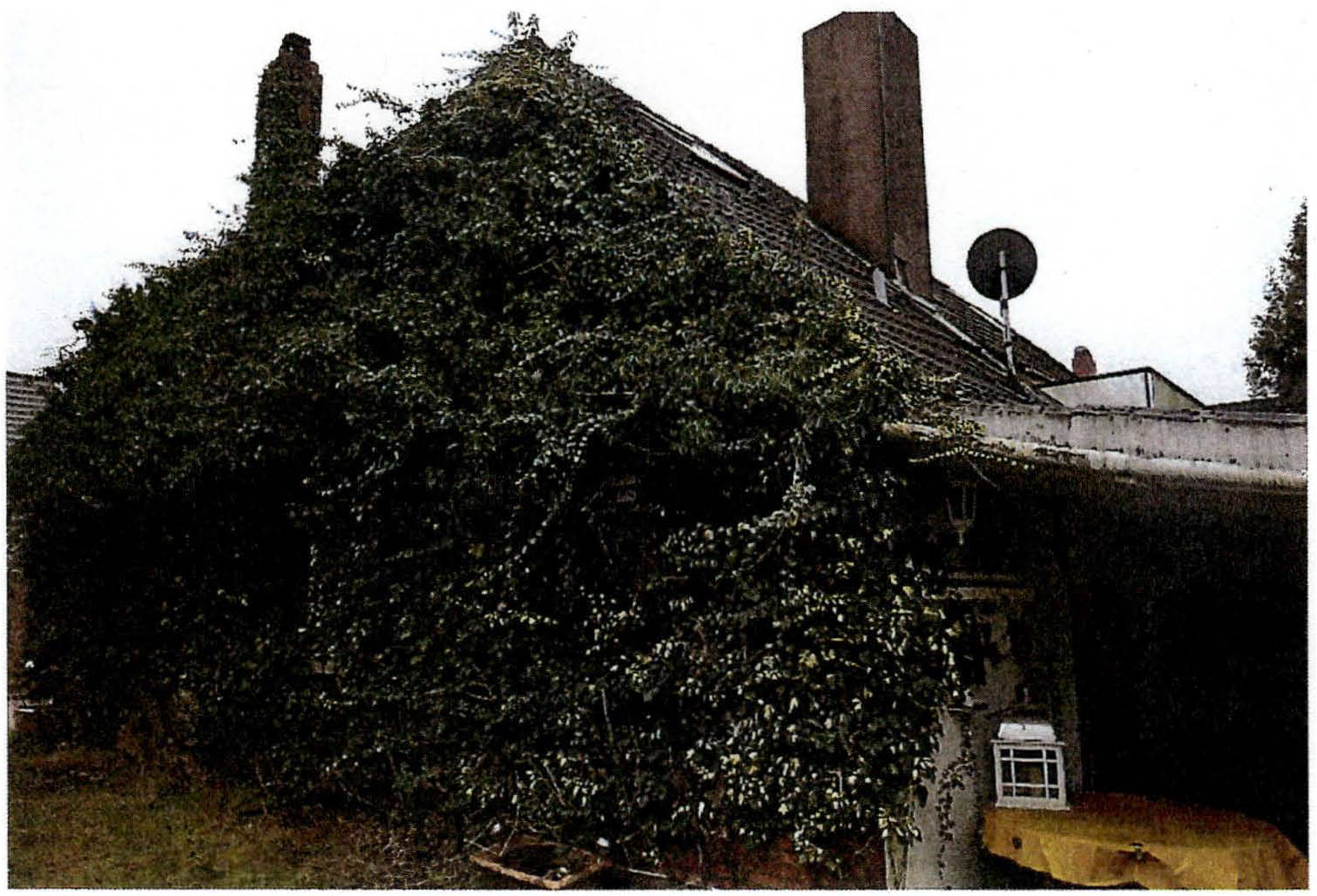 schleswig-holstein 6 K 21/24 Dorfstraße 42, 25840 Koldenbüttel 9