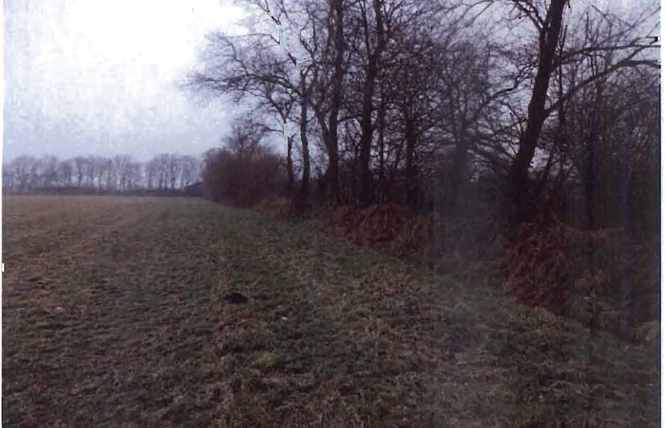 schleswig-holstein 6 K 25/25 Bargkoppeln, 25873 Rantrum 10