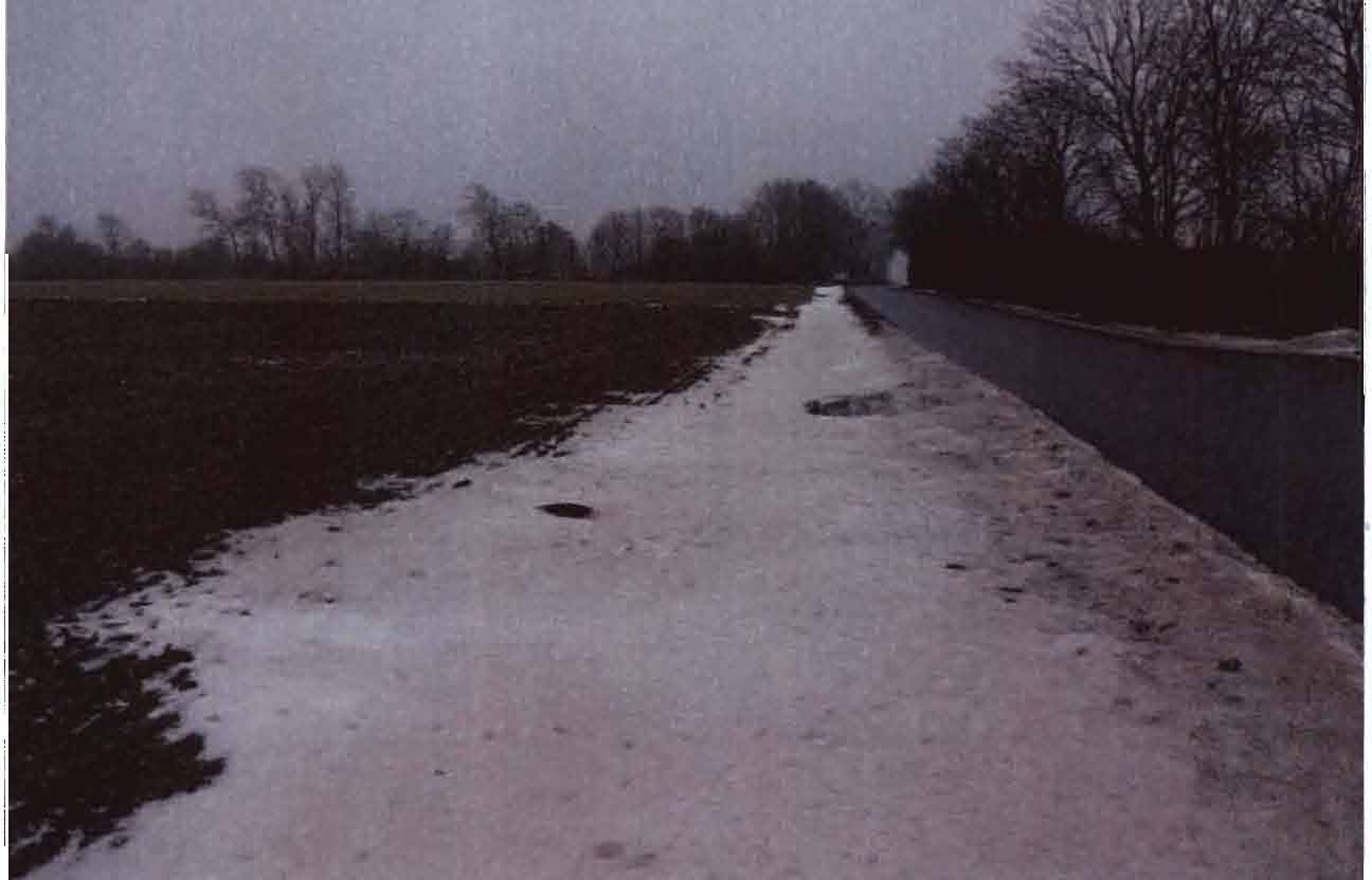 land-/ forstwirtschtl. Flächen in Bargkoppeln, 25873 Rantrum - Bild 3