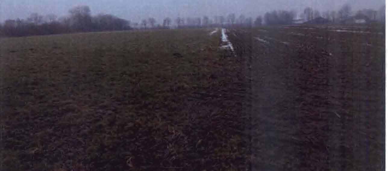 schleswig-holstein 6 K 25/25 Bargkoppeln, 25873 Rantrum 23