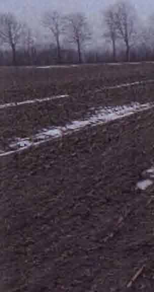 schleswig-holstein 6 K 25/25 Bargkoppeln, 25873 Rantrum 18