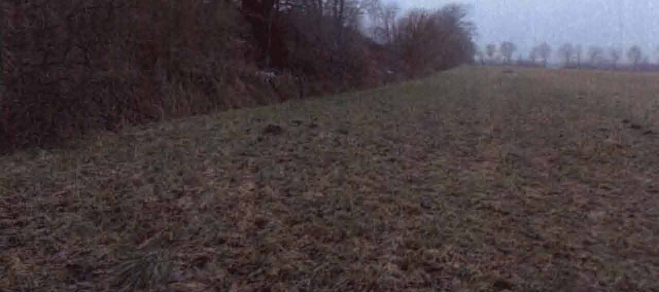 land-/ forstwirtschtl. Flächen in Bargkoppeln, 25873 Rantrum - Bild 4