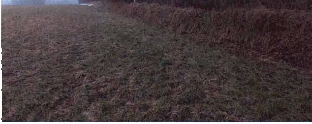 land-/ forstwirtschtl. Flächen in Bargkoppeln, 25873 Rantrum - Bild 2