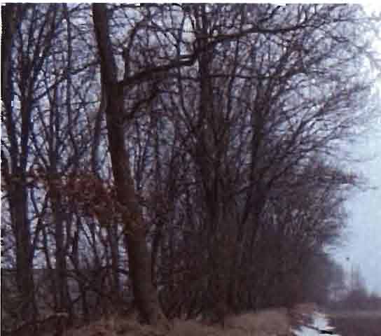 schleswig-holstein 6 K 25/25 Bargkoppeln, 25873 Rantrum 8