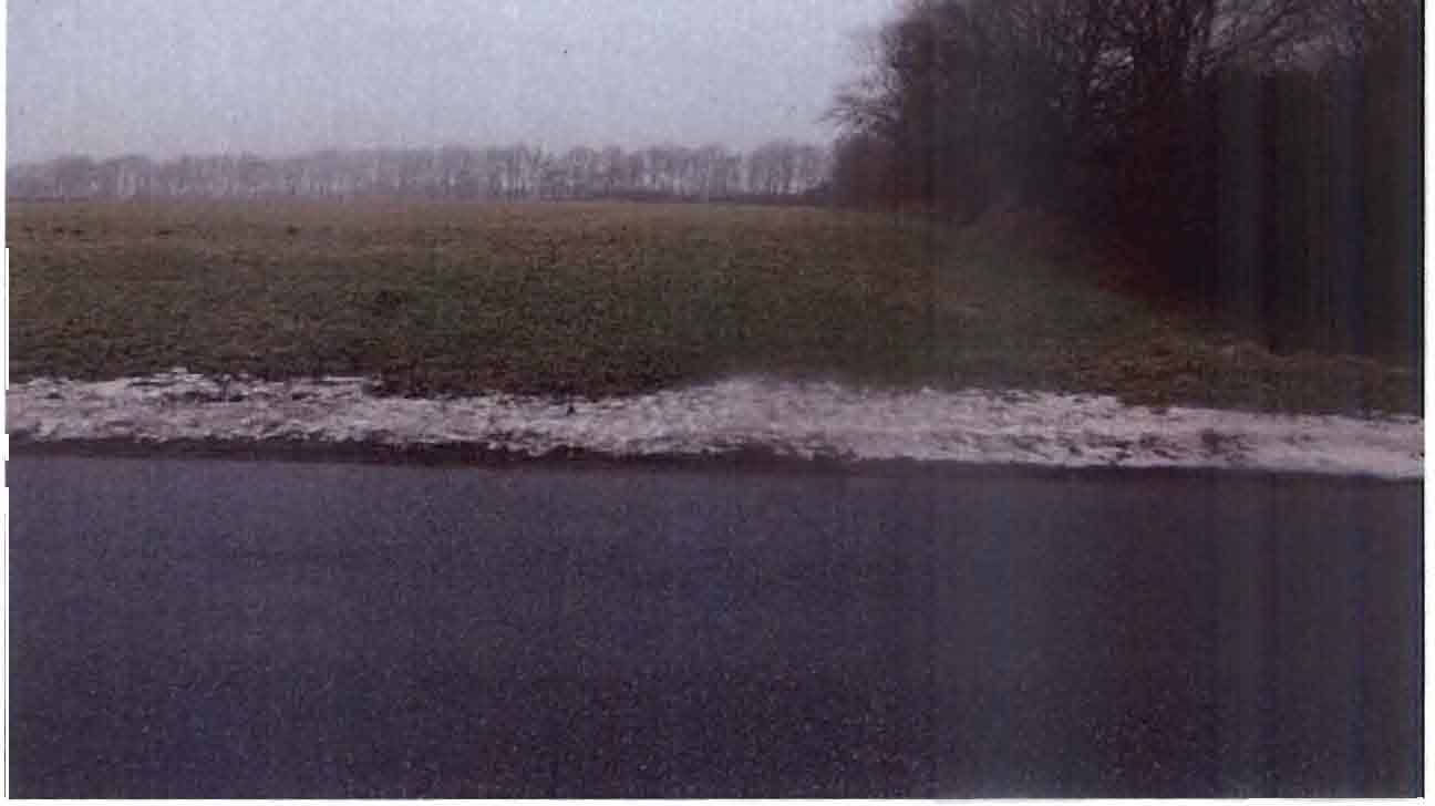 schleswig-holstein 6 K 25/25 Bargkoppeln, 25873 Rantrum 24