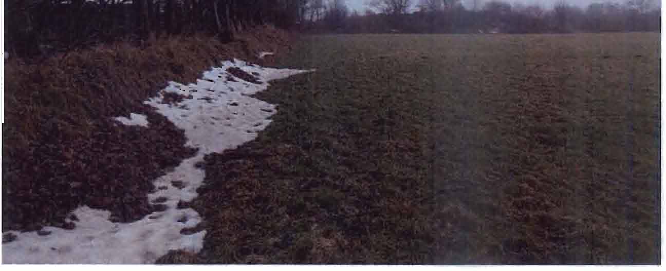 schleswig-holstein 6 K 25/25 Bargkoppeln, 25873 Rantrum 29