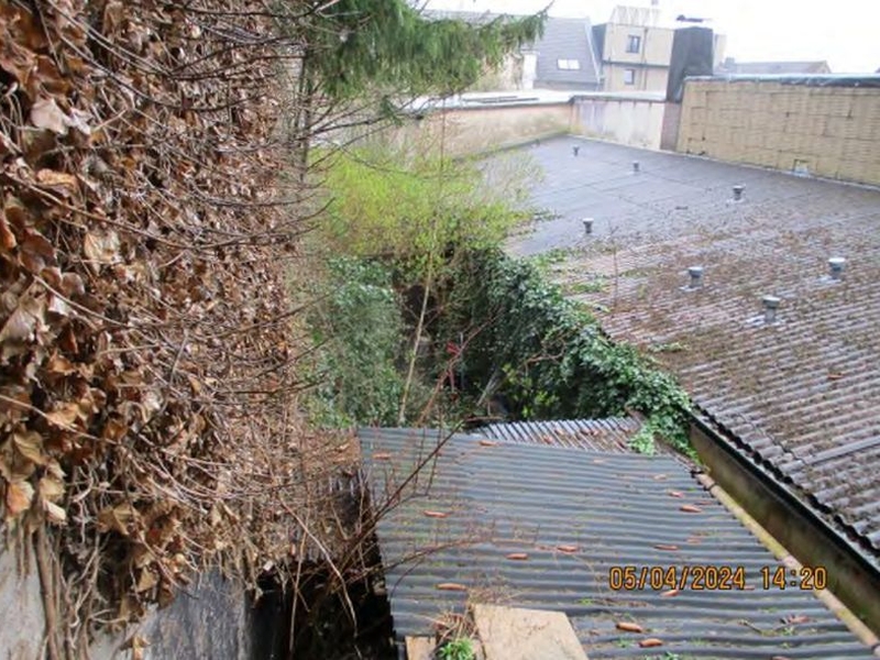 Wohnen/Gewerbe in Lollfuß 17, 19, 24837 Schleswig - Bild 5