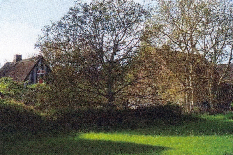 Einfamilienhaus in Dorfstraße 46, 25370 Seester - Bild 4