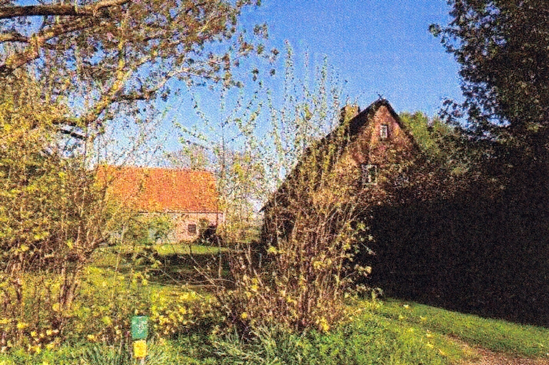 Einfamilienhaus in Dorfstraße 46, 25370 Seester - Bild 2
