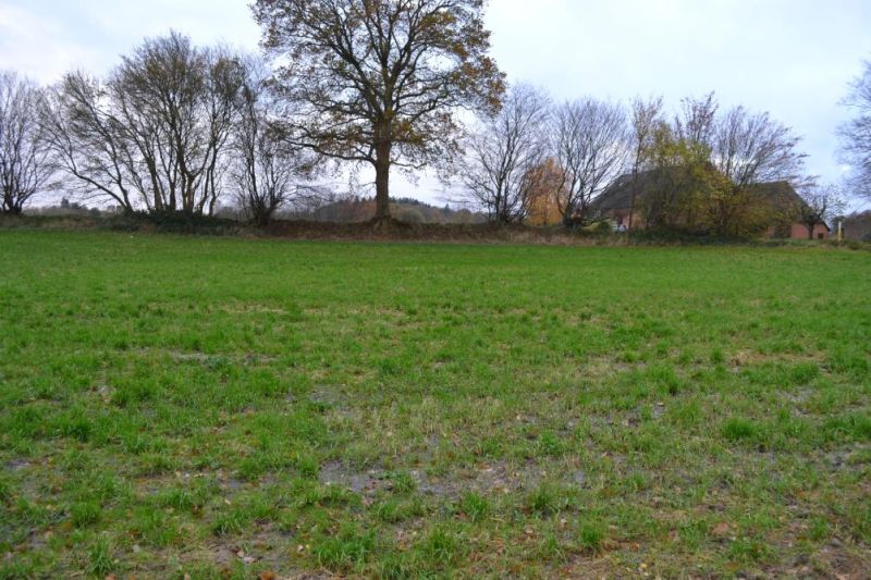 schleswig-holstein 8 K 17-23 Lange Straße 46, 48, 24327 Blekendorf 8