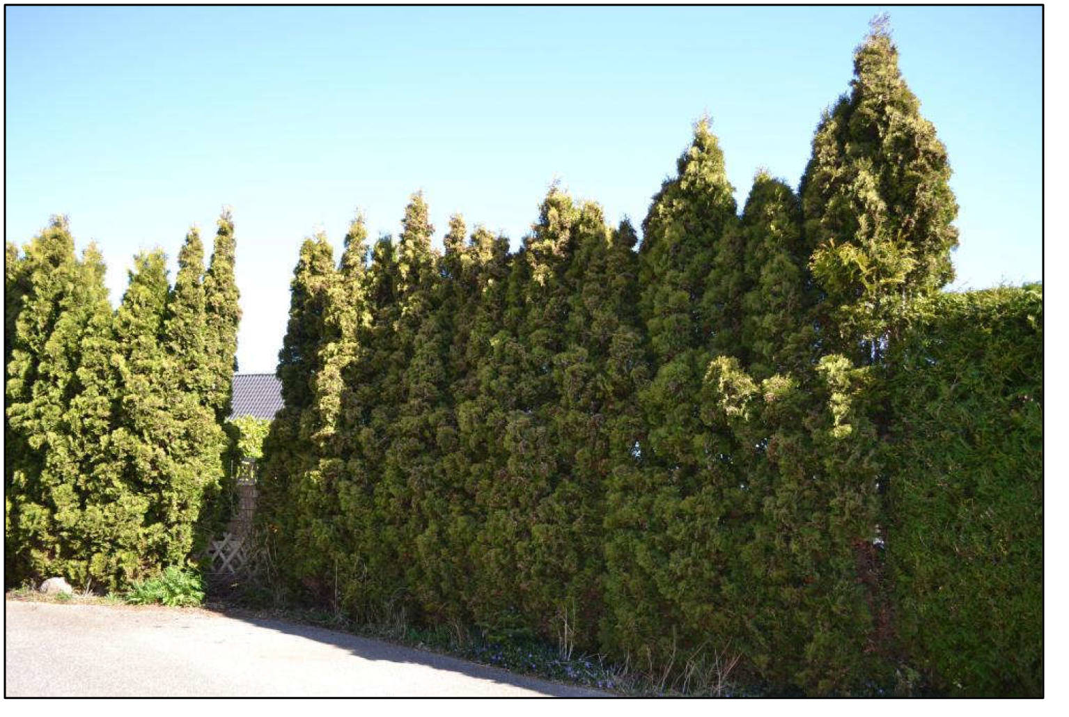 schleswig-holstein 8 K 34/24 Eichendorffstraße 31, 24223 Schwentinental 15