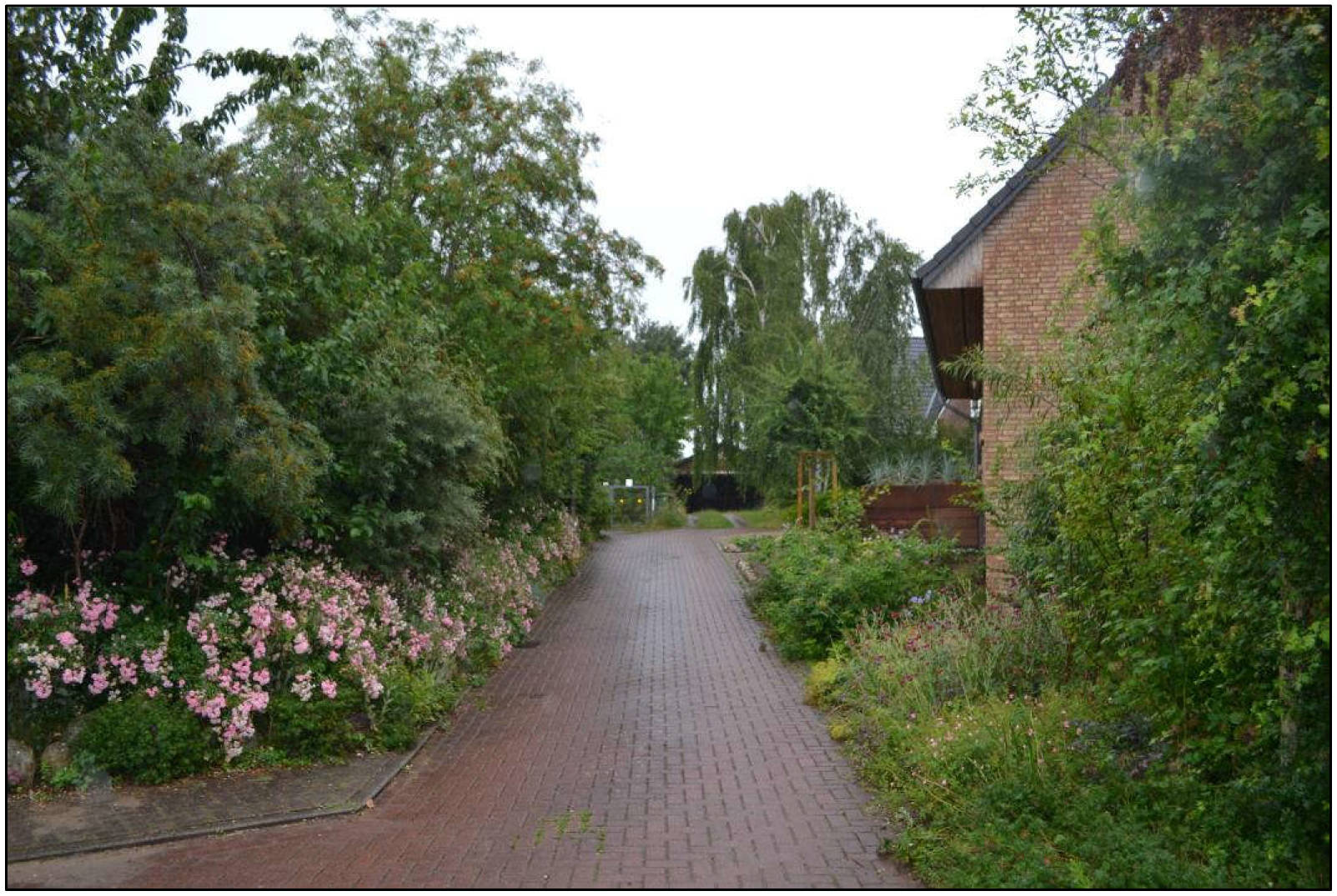 schleswig-holstein 8 K 4/25 Am Berg 25, 24326 Dersau 13
