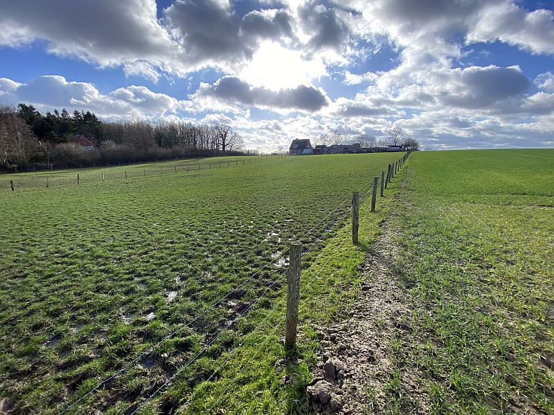 schleswig-holstein 81 K 20-23 , 23623 Ahrensbök OT Hohenhorst