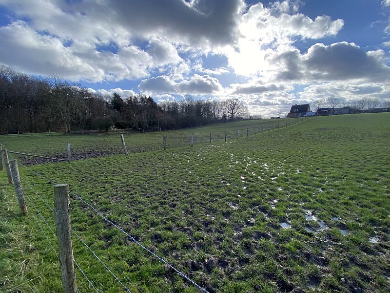 schleswig-holstein 81 K 20-23 , 23623 Ahrensbök OT Hohenhorst