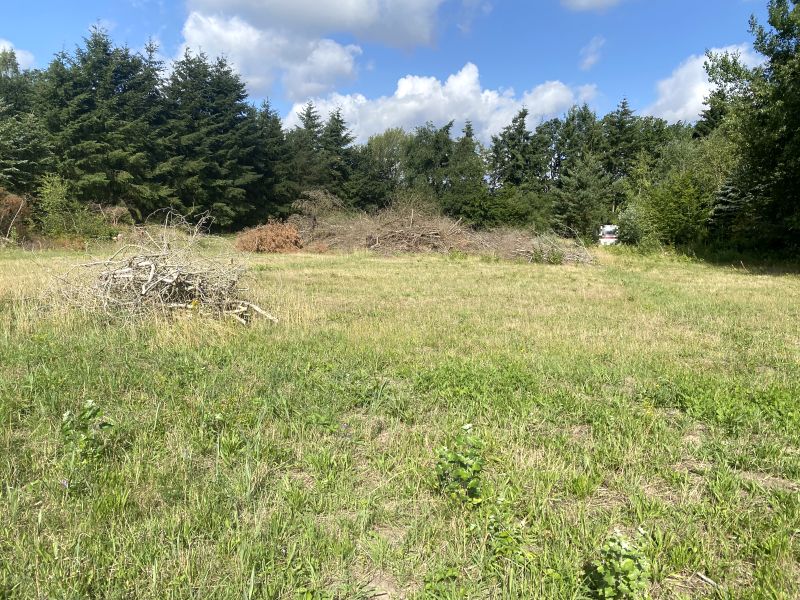 schleswig-holstein 81 K 8/23 Am Himberg 3, 23714 Malente OT Timmdorf 12