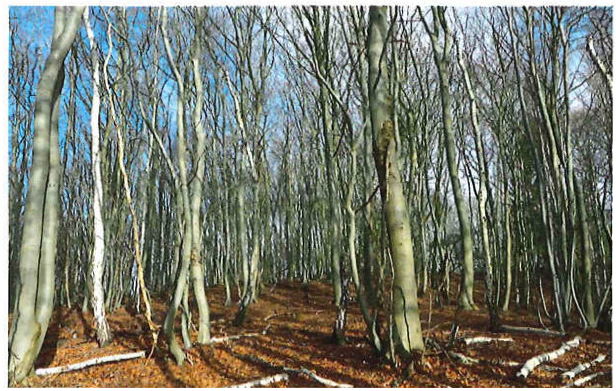 schleswig-holstein 9 K 13/20 , 21039 Escheburg 3