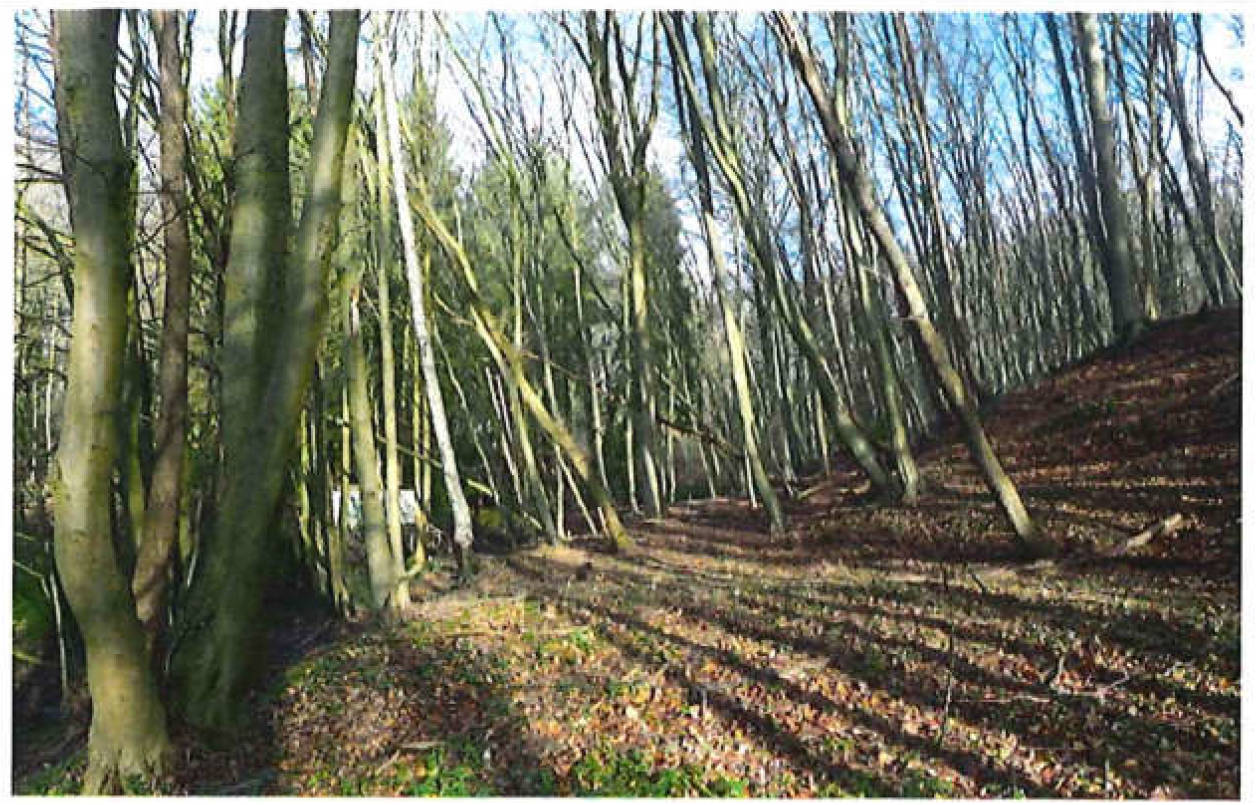 schleswig-holstein 9 K 13/20 , 21039 Escheburg 10
