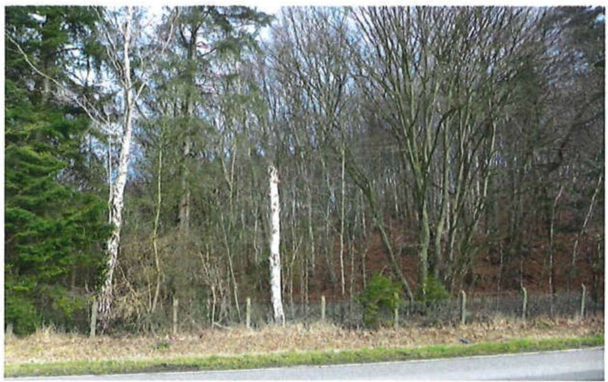 schleswig-holstein 9 K 13/20 , 21039 Escheburg 9