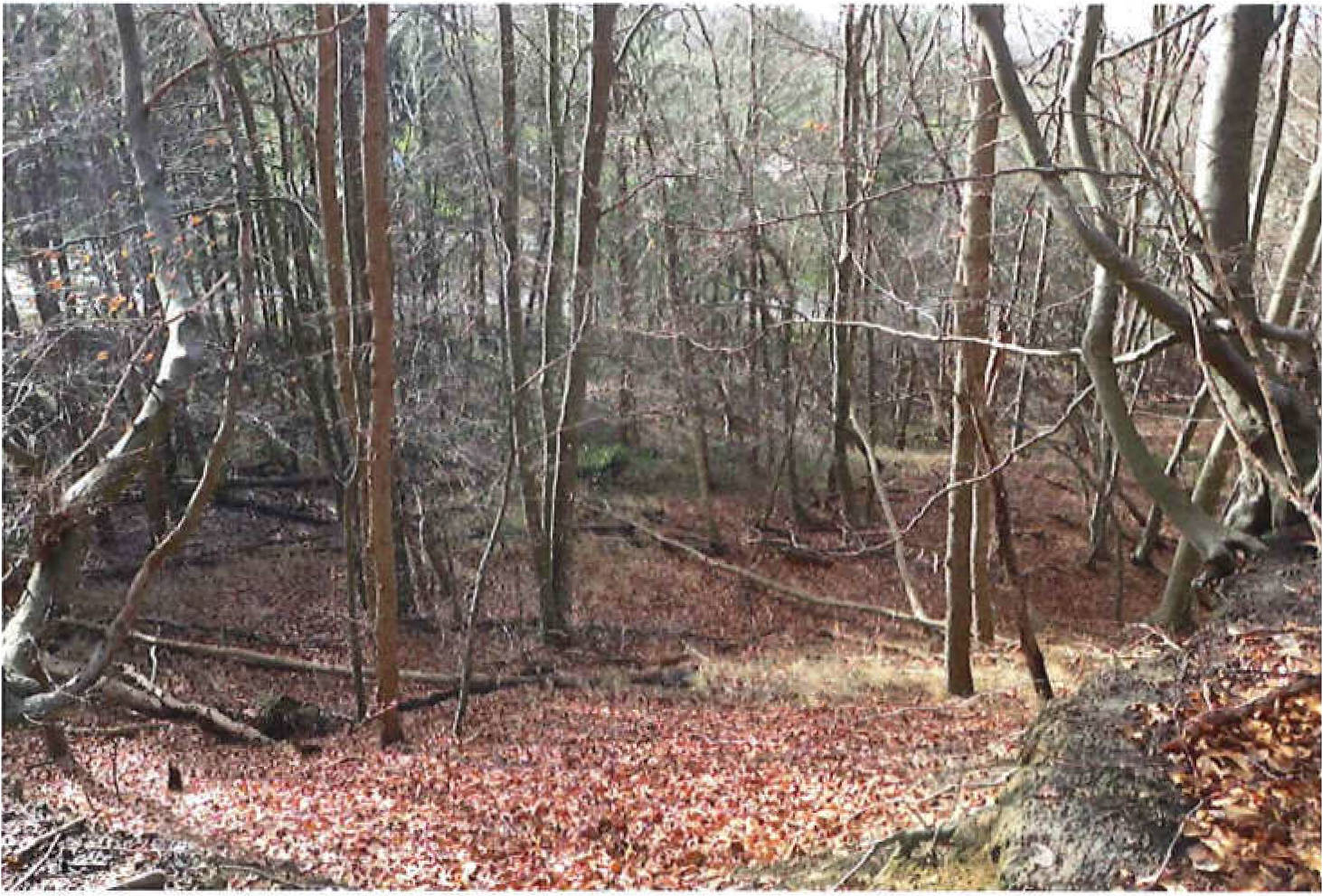 schleswig-holstein 9 K 13/20 , 21039 Escheburg 15