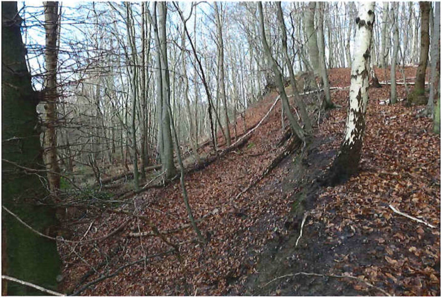 schleswig-holstein 9 K 13/20 , 21039 Escheburg 8