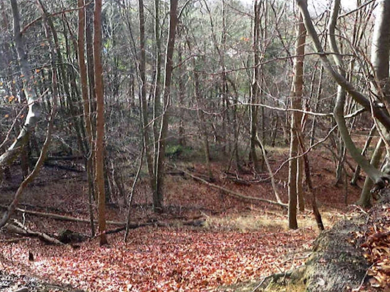 schleswig-holstein 9 K 13/20 , 21039 Escheburg 13