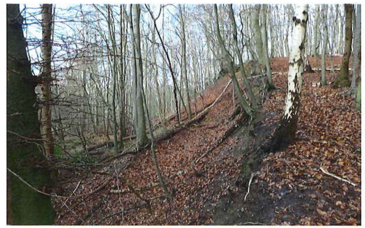 schleswig-holstein 9 K 13/20 , 21039 Escheburg 12