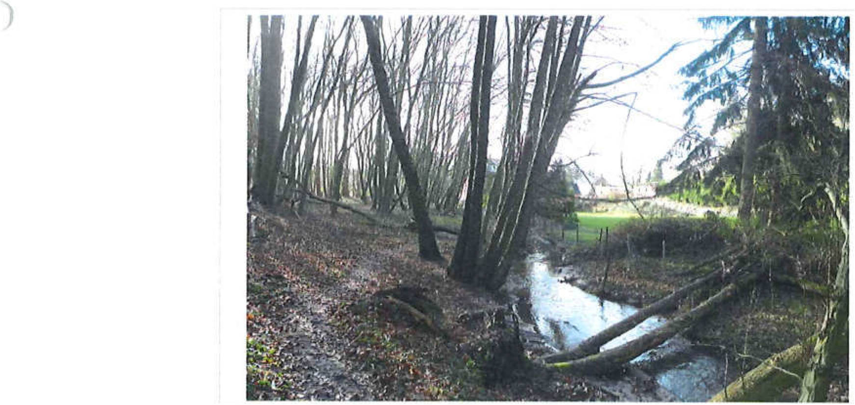 schleswig-holstein 9 K 13/20 , 21039 Escheburg 4
