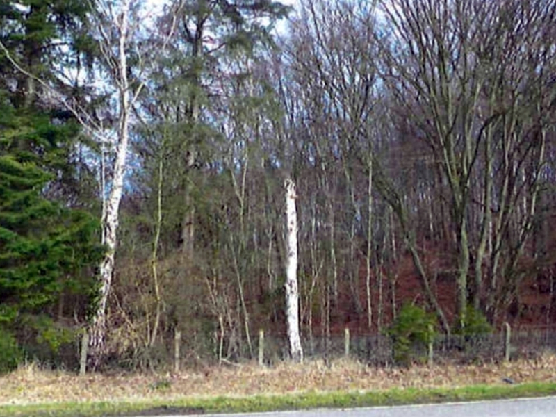 schleswig-holstein 9 K 13/20 , 21039 Escheburg 5
