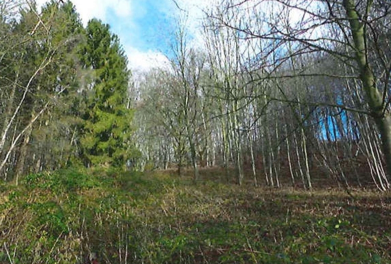 schleswig-holstein 9 K 14/20 , 21039 Escheburg 2