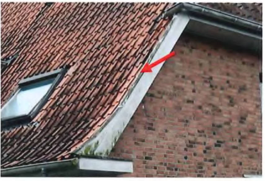 schleswig-holstein 9 K 2/24 Schloßstraße 2, 21483 Gülzow 7