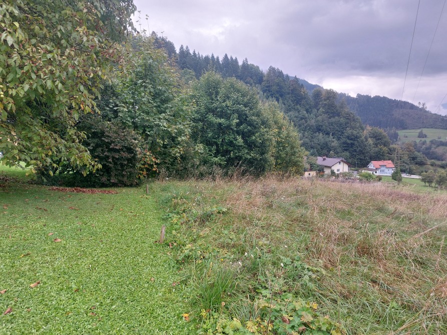 Unbebaute Grundstücke in 8940 Liezen - Bild 5