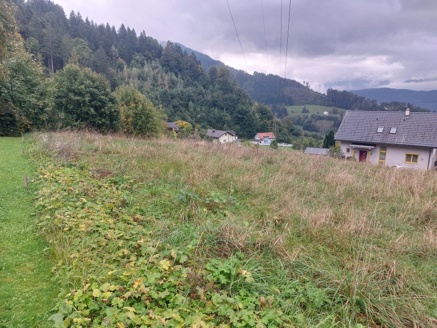 Unbebaute Grundstücke in 8940 Liezen - Bild 2