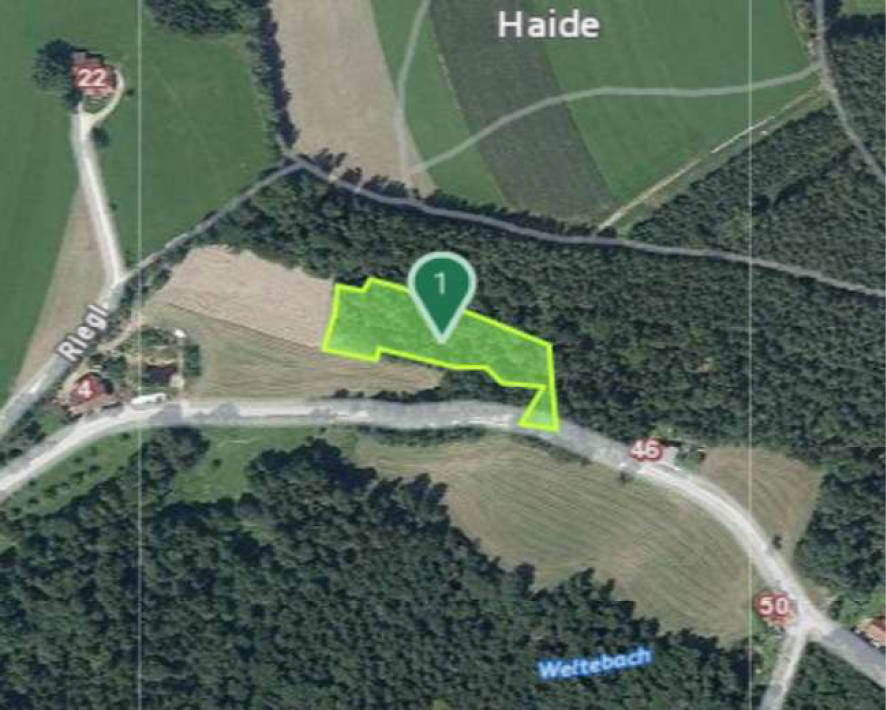 steiermark 21 E 42/25d 8242 St. Lorenzen am Wechsel 30