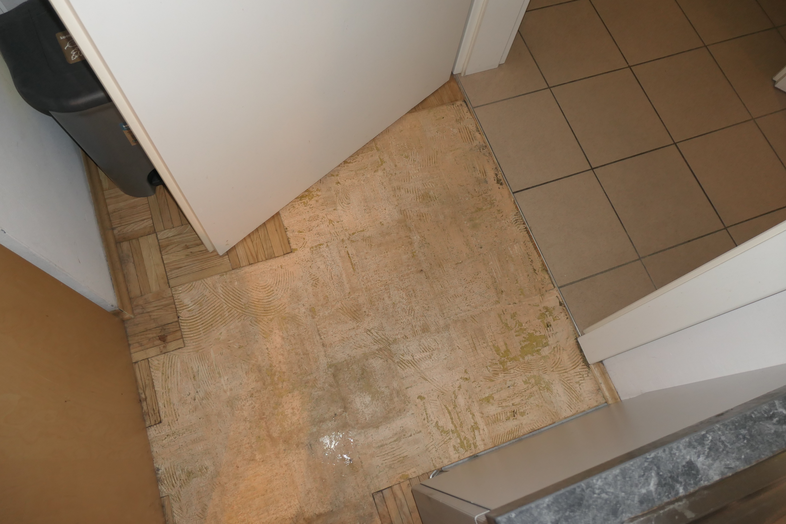 steiermark 244 E 50/26y Lange Gasse 30, 8010 Graz 6