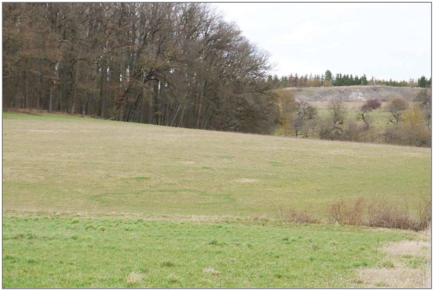 In der Schmerl, 99996 Obermehler