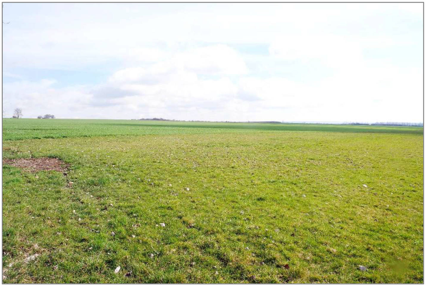 in Wiese im Heimelsgraben und im Teich, 99713 Großbrüchter - Bild 2
