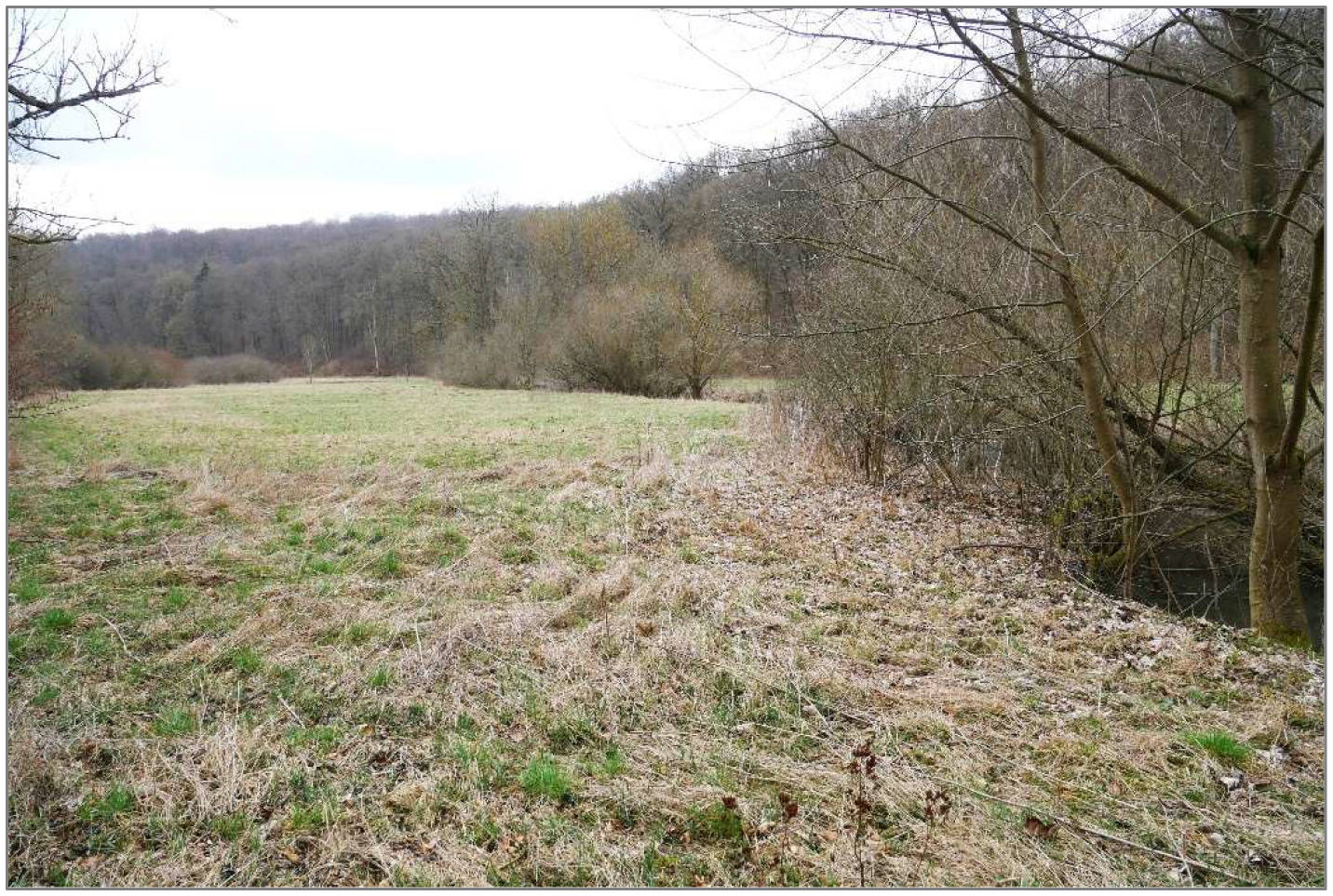  in Am Steinweg und am Urensberg, 99713 Großbrüchter - Bild 3