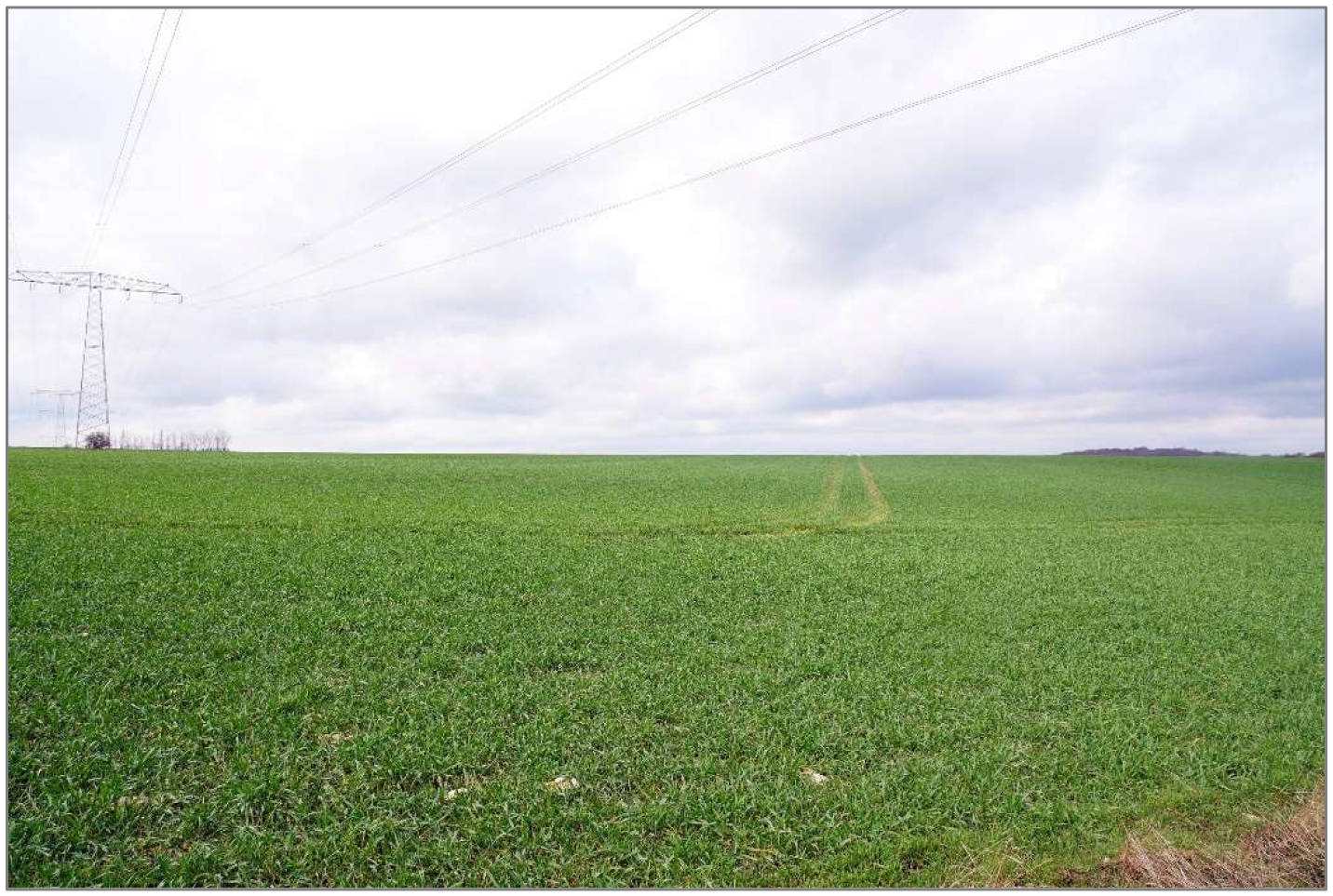  in Am Steinweg und am Urensberg, 99713 Großbrüchter - Bild 2