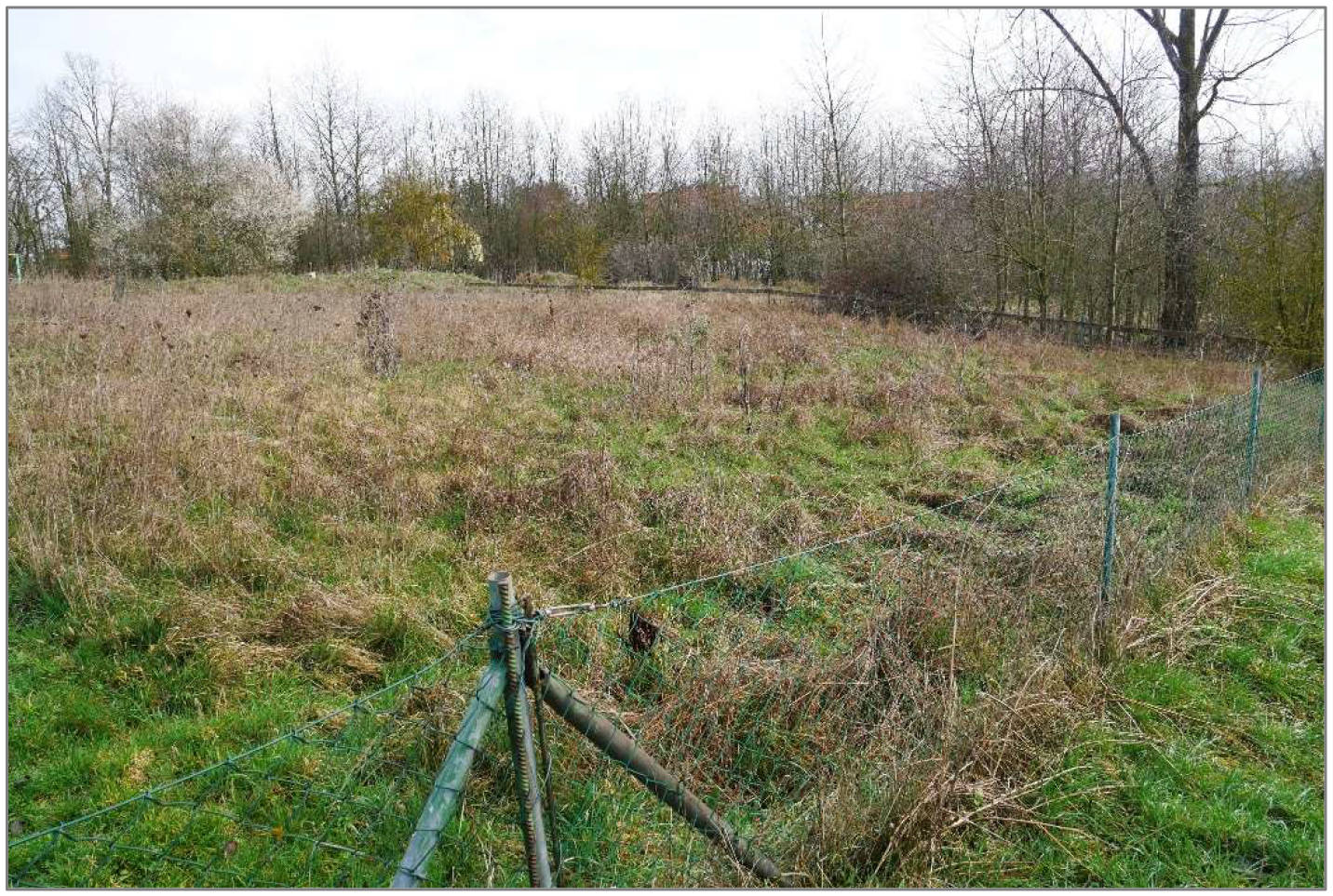 thueringen 0006 K 0050/2022 Am Nebelungsberg, 99734 Hesserode 2