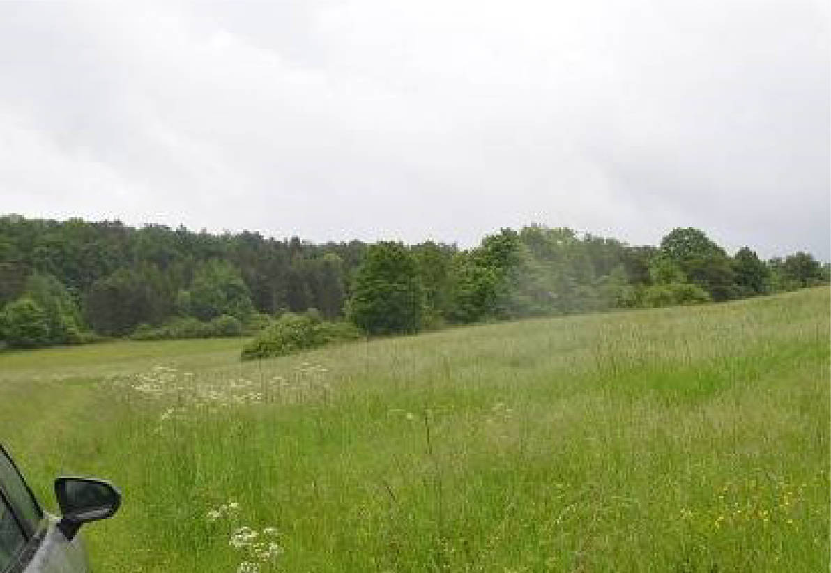 thueringen 0010K0010-2024 Am Mühlfelder Weg, 98631 Grabfeld OT Schwickershausen (Außenbereich)