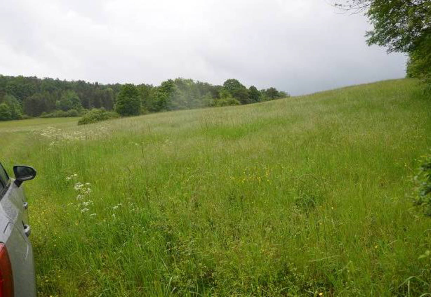 thueringen 0010K0010-2024 Am Mühlfelder Weg, 98631 Grabfeld OT Schwickershausen (Außenbereich)