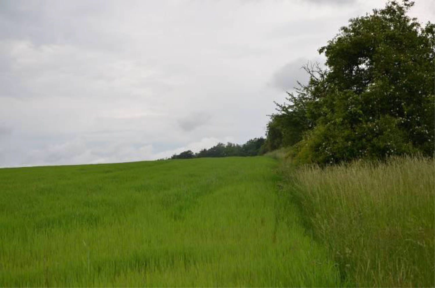 thueringen 0010K0010-2024 Am Mühlfelder Weg, 98631 Grabfeld OT Schwickershausen (Außenbereich)