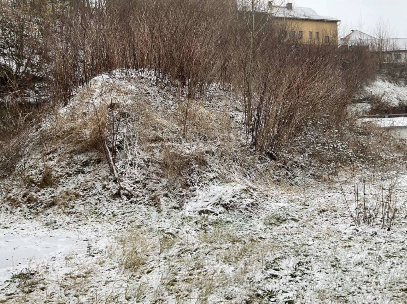 unbebautes Grundstück in Weiherstraße 20, 07646 Stadtroda - Bild 5