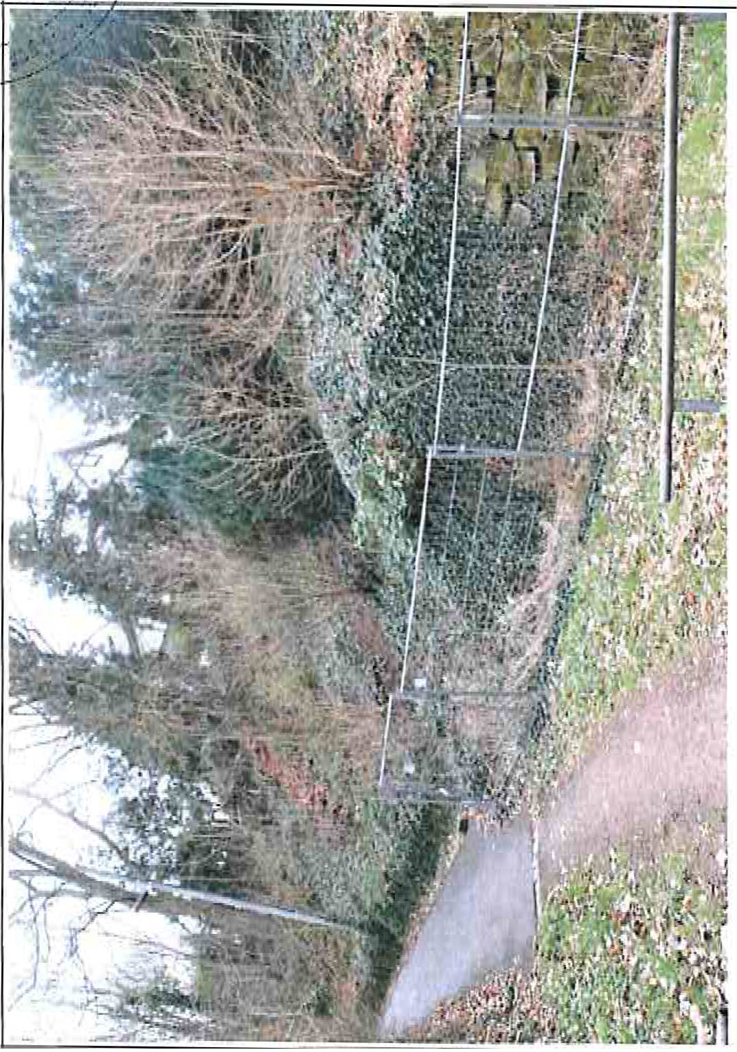 thueringen 0010 K 0042/2024 Kanonenweg 30, 98574 Schmalkalden 21