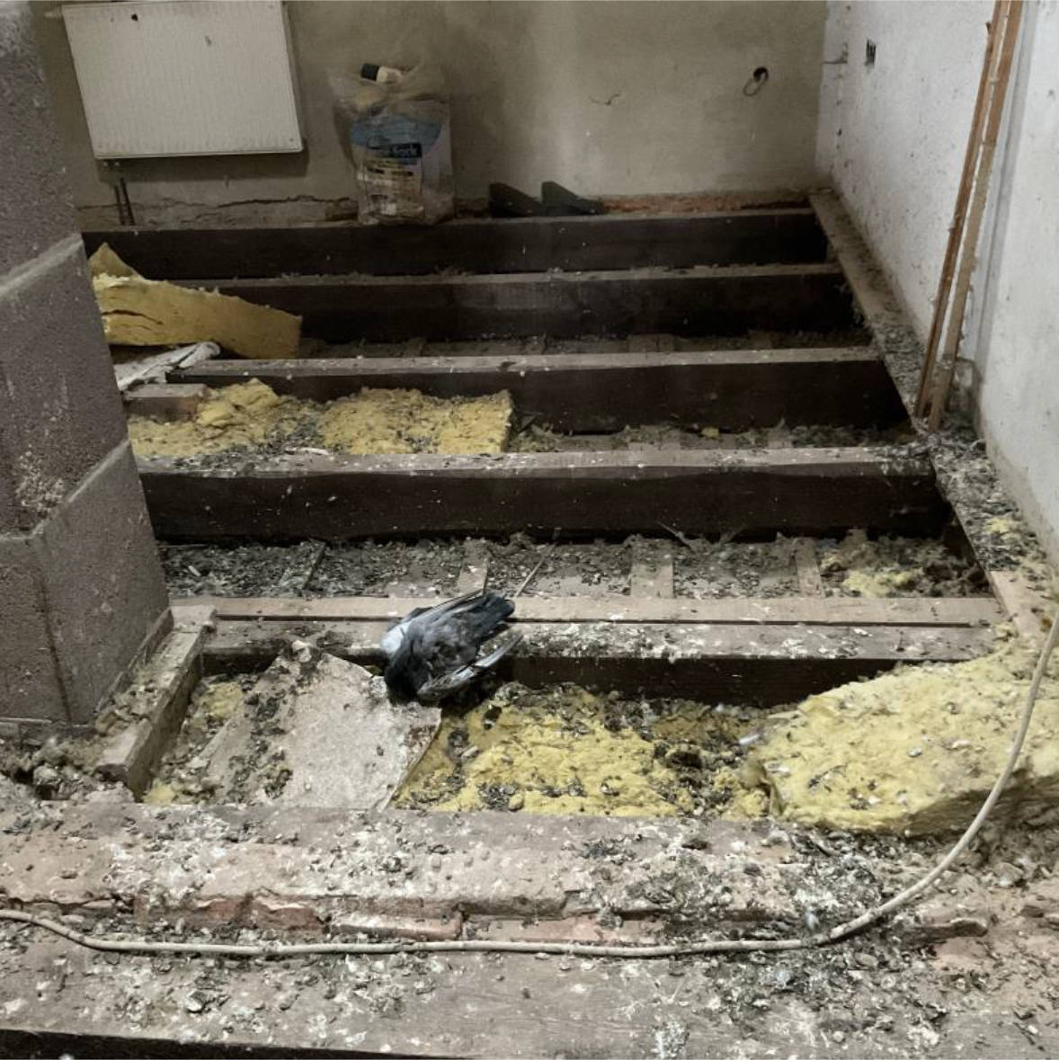 Einfamilienhaus in Ortsstraße 37, 07613 Buchheim - Bild 2
