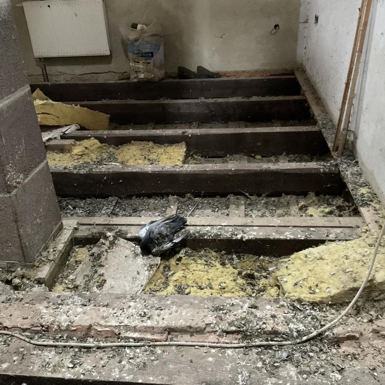 thueringen 0010 K 0053/2021 Ortsstraße 37, 07613 Buchheim 8