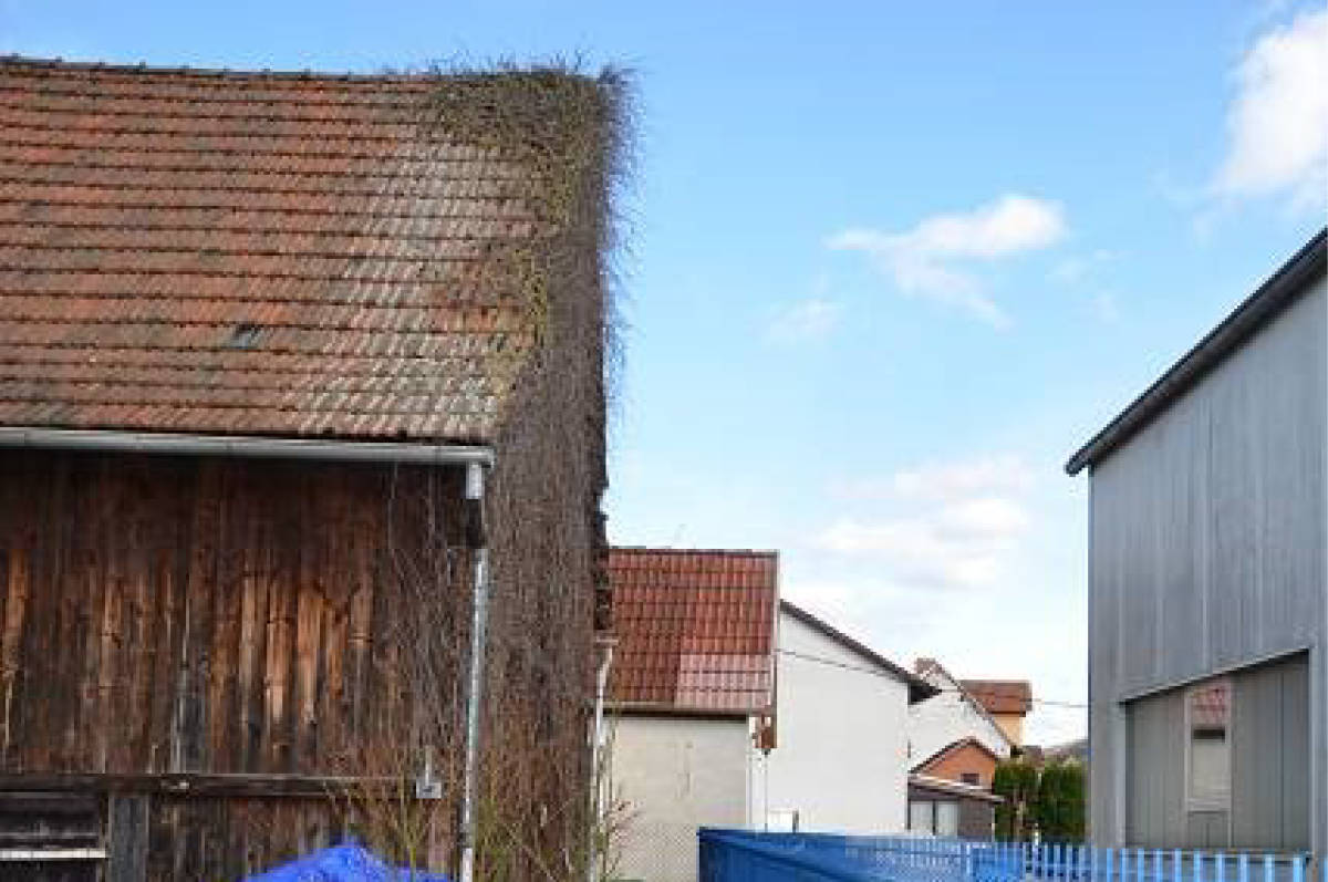 thueringen 0011 K 0001/2024 Schulstraße 23, 98574 Schmalkalden OT Mittelschmalkalden 10