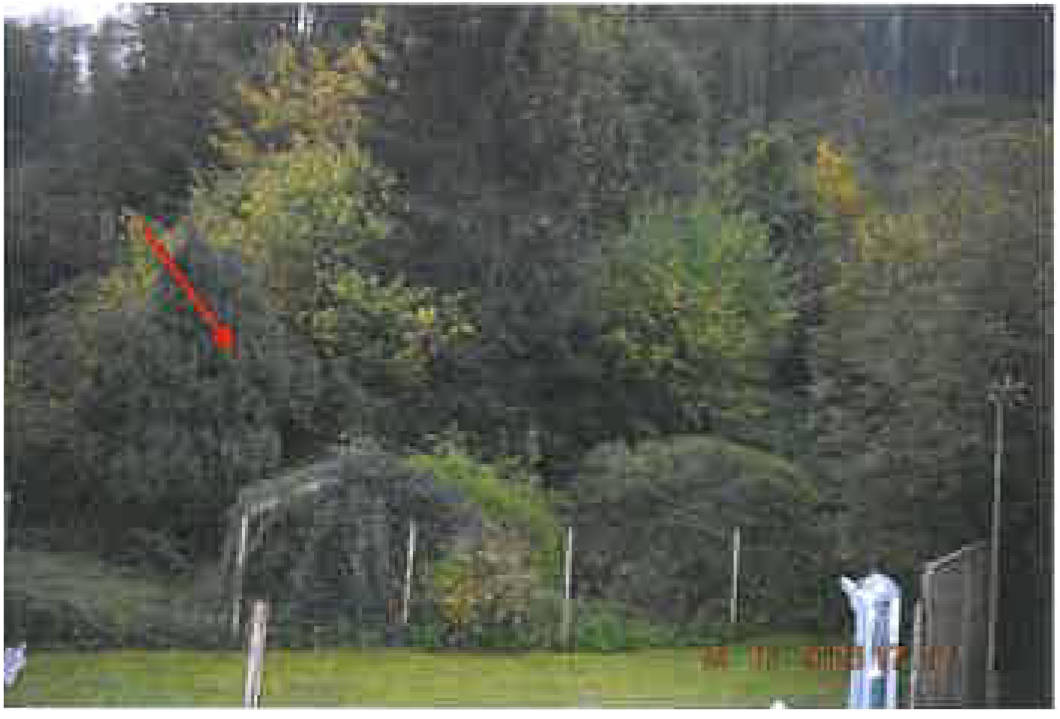 thueringen 0011K0021-2023 Talstraße 164, 98574 Schmalkalden 9