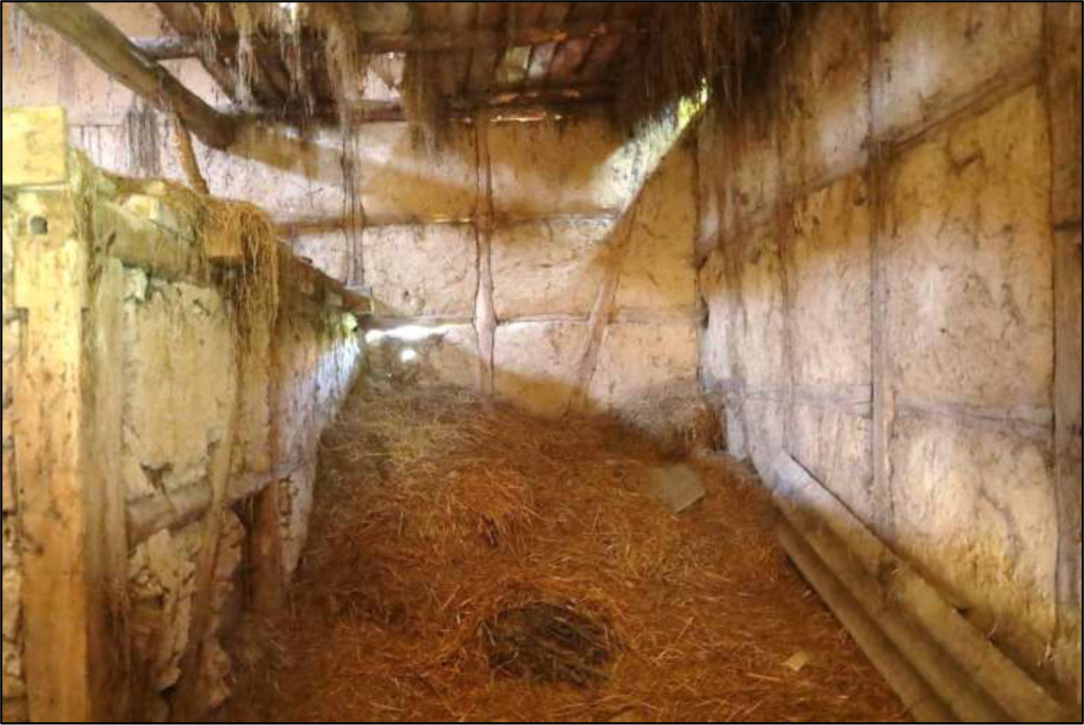 thueringen 0016 K 0002/2023 Untervorstadtstraße 31, 99958 Tonna 12